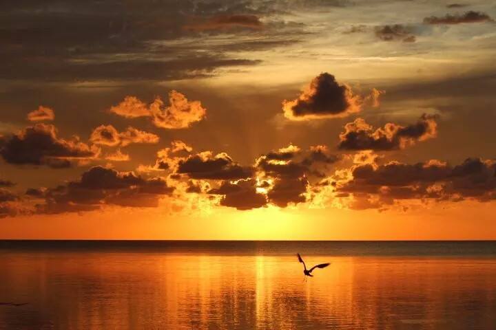 Image of sunset at Frisco Woods Campground